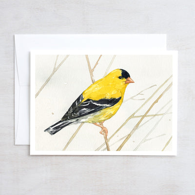 American Goldfinch Watercolor Art 5"x7" Notecard