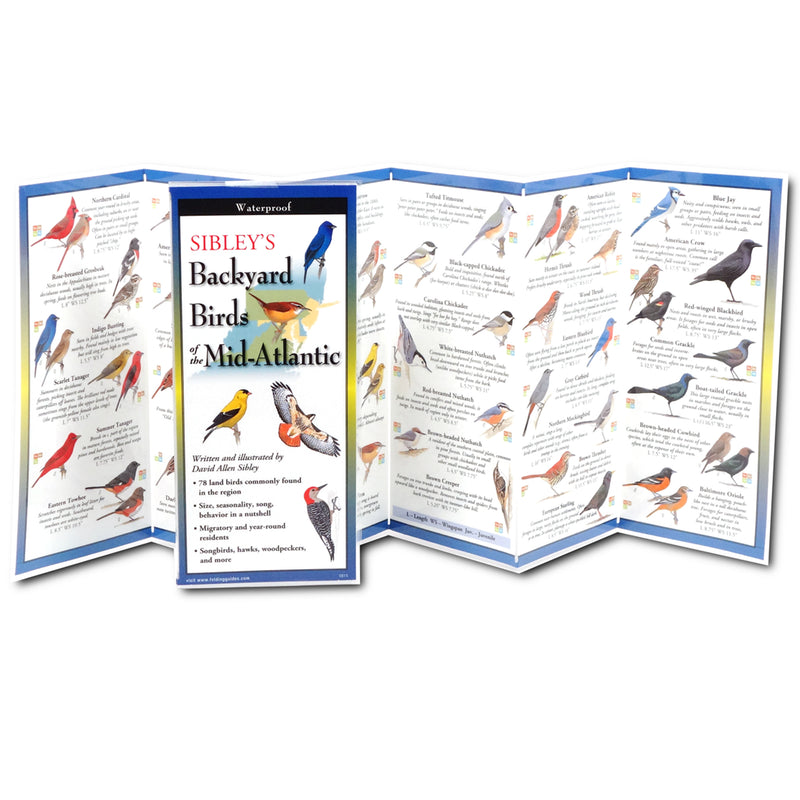 Backyard Birds of the Mid-Atlantic Folding Guide (open)