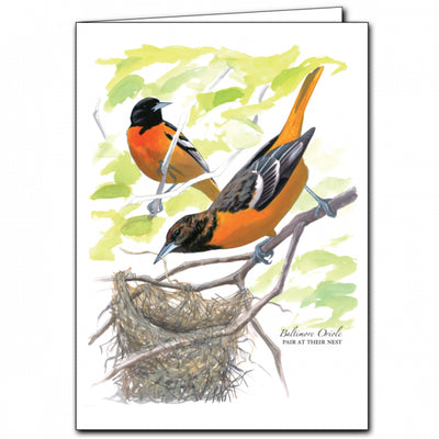 Baltimore Oriole Bird Pair with Nest Card