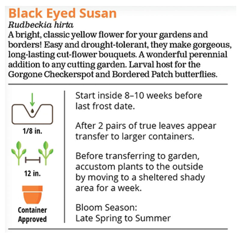 Black Eyed Susan Seeds Packet Instructions