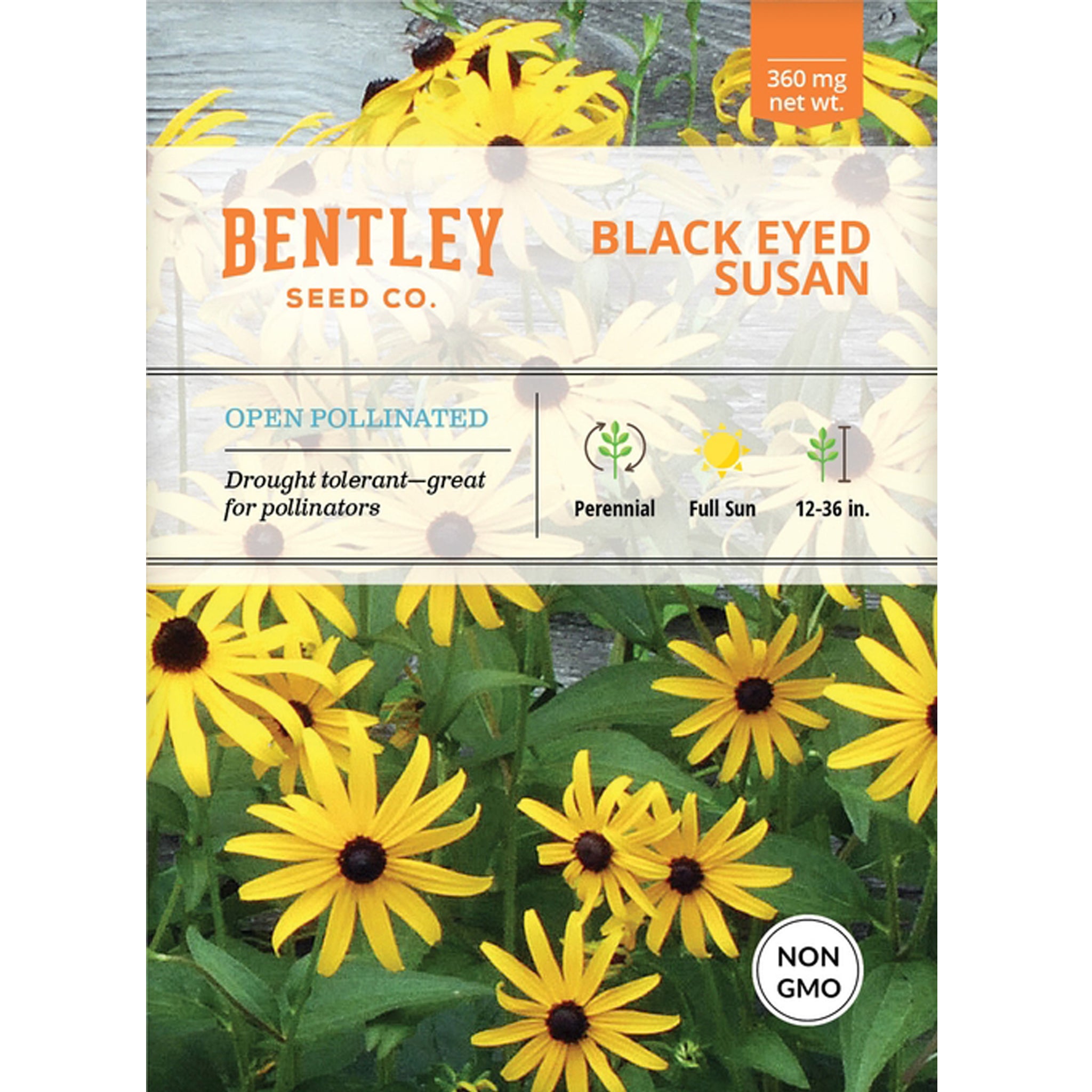 black eyed susan seed to flower Black Eyed Susan Seeds Packet – The Maryland Store
