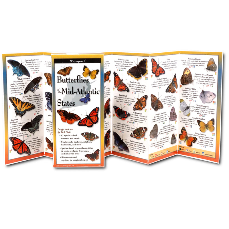 Butterflies of the Mid-Atlantic Folding Guide (open)