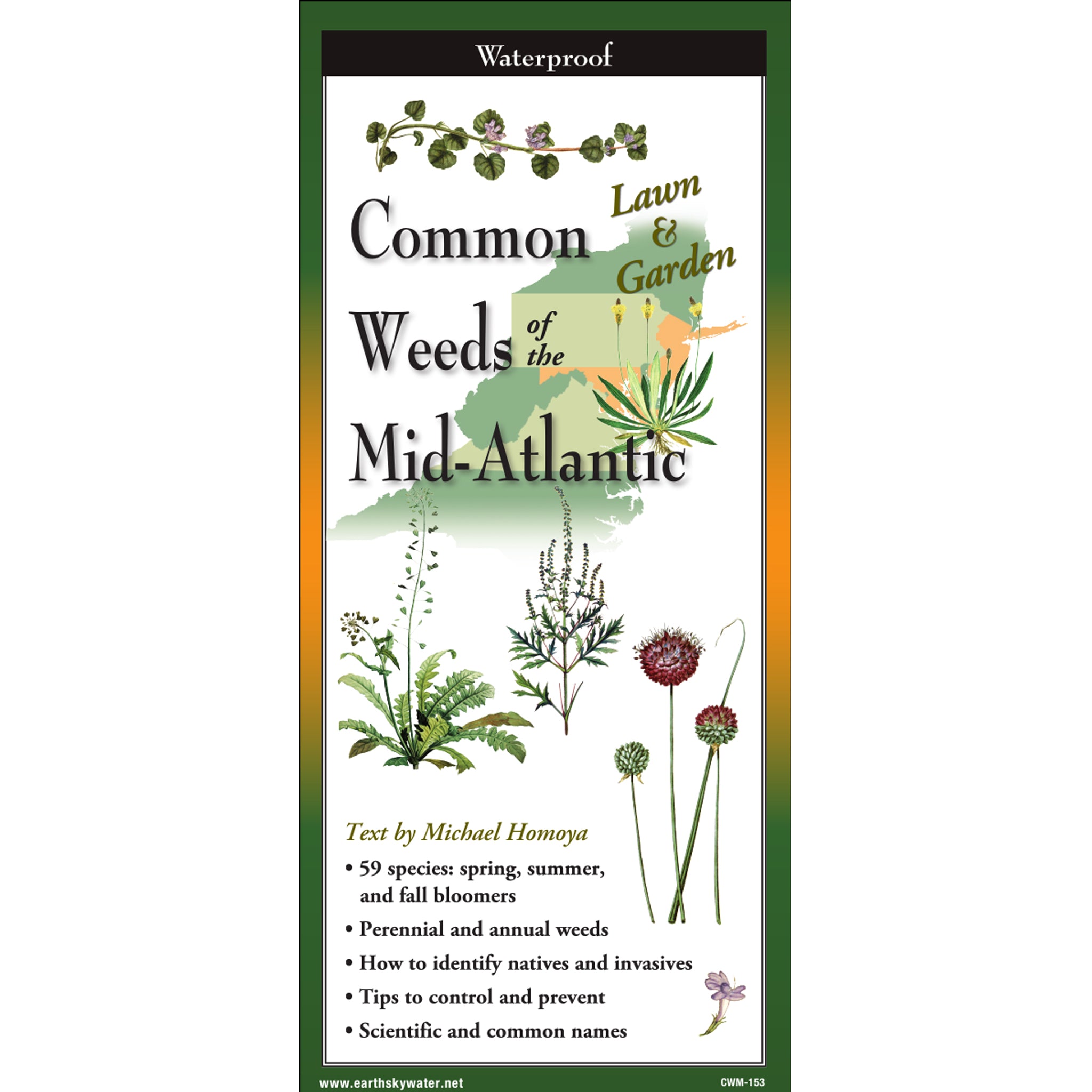 common-weeds-mid-atlantic.jpg?