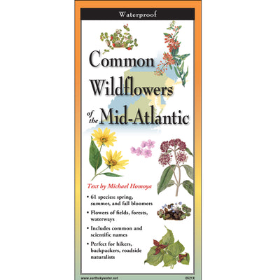 Common Wildflowers of the Mid-Atlantic Folding Guide