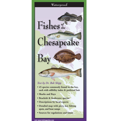 Fishes of the Chesapeake Bay Folding Guide