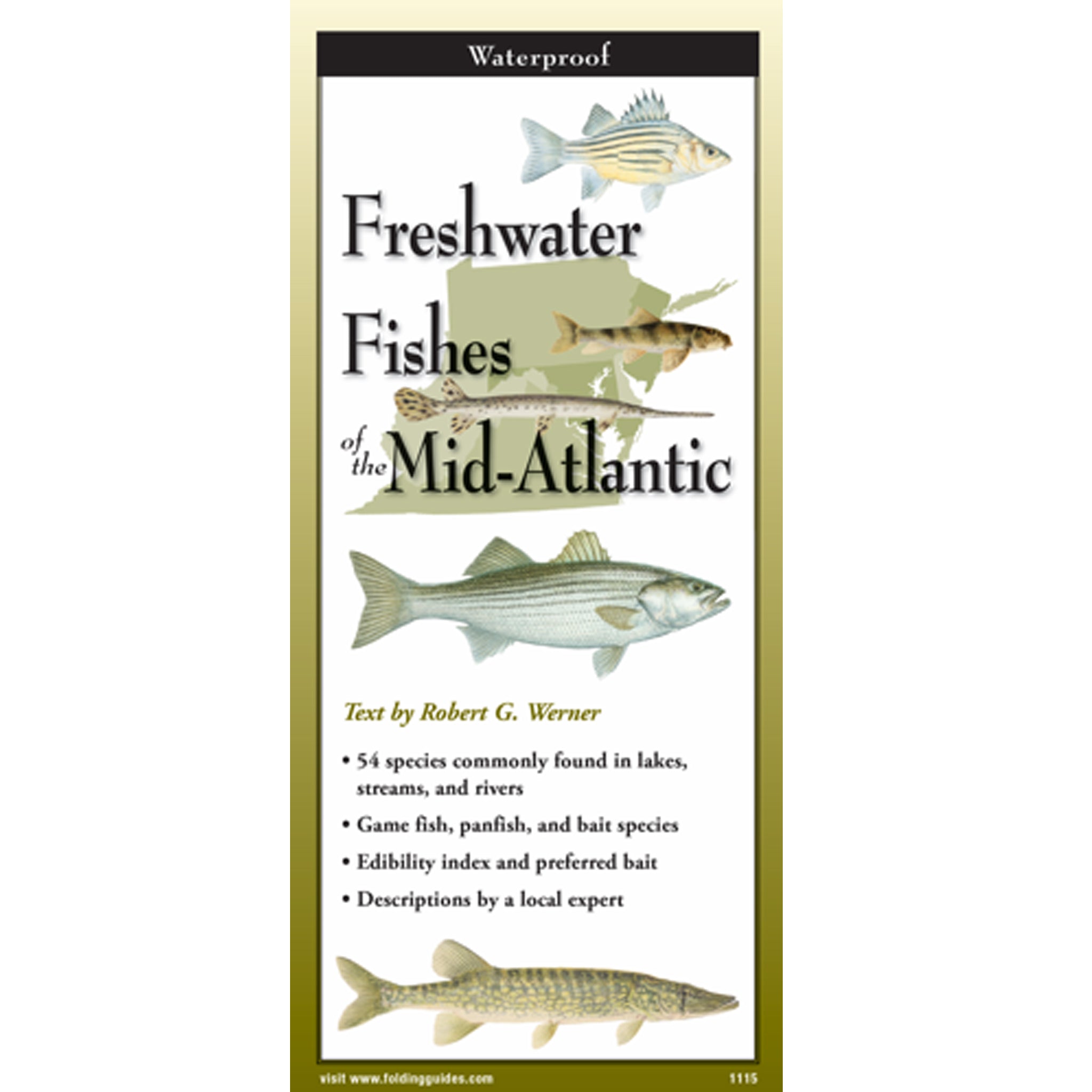Freshwater Fishes of The Mid-Atlantic Folding Guide