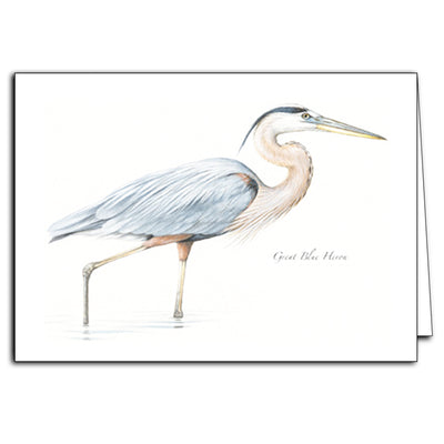 Great Blue Heron Card