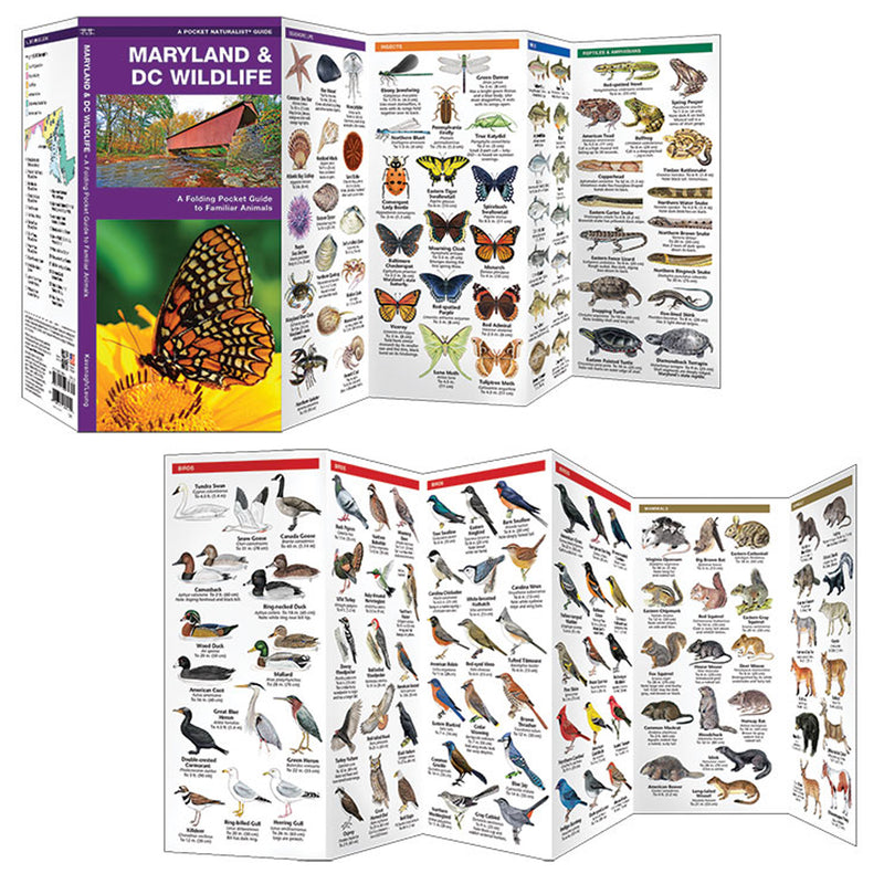 Maryland & DC Wildlife Pocket Naturalist Guide Inside
