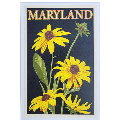 Postcard - Maryland Black Eyed Susans
