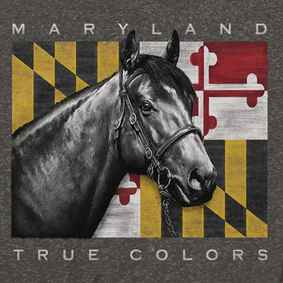 Maryland Flag Horse T-Shirt Design Closeup