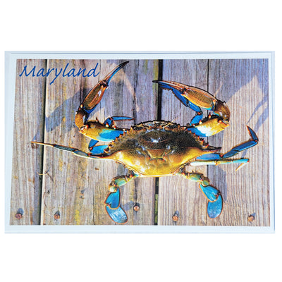 Postcard - Natural Blue Crab Maryland