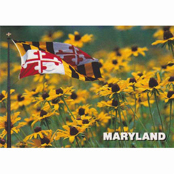 Postcard - Maryland State, Flag and Icons – The Maryland Store