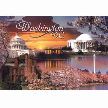 Postcard - Washington DC Cherry Blossoms