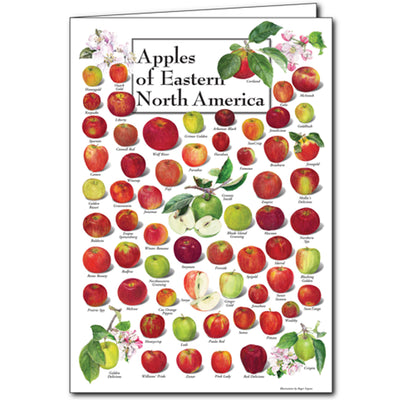 Apples of Eastern North America Card