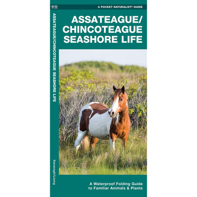 Assateague/Chincoteague Seashore Life Pocket Naturalist Guide