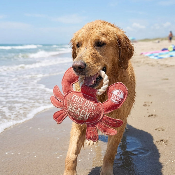 Beach Dog Red Crab Canvas Dog Toy