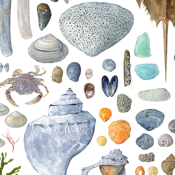 Beachcombing Shells Watercolor Art Print - Matted
