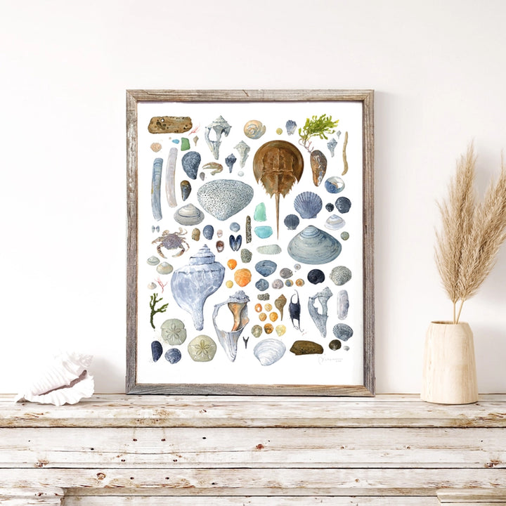 Beachcombing Shells Watercolor Art Print - Matted