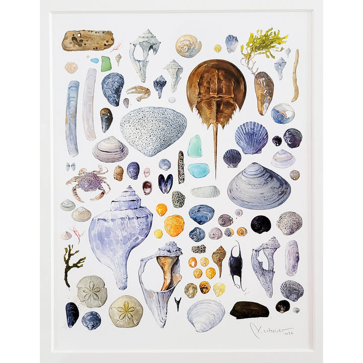 Beachcombing Shells Watercolor Art Print - Matted