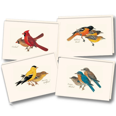 Bird Assortment Illustrated Notecards Set of 8