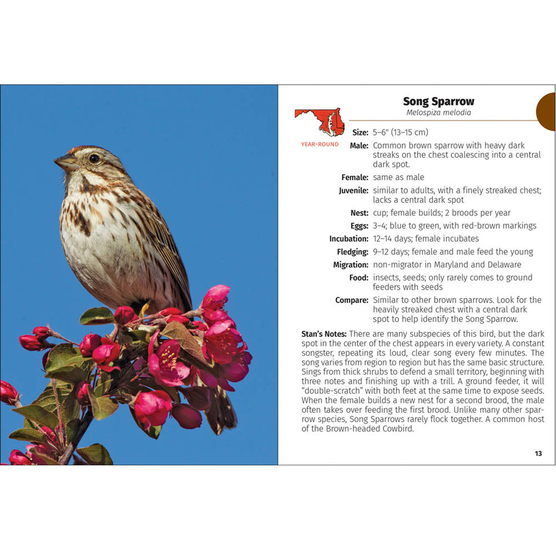 Birds of Maryland &amp; Delaware Field Guide Book (inside)