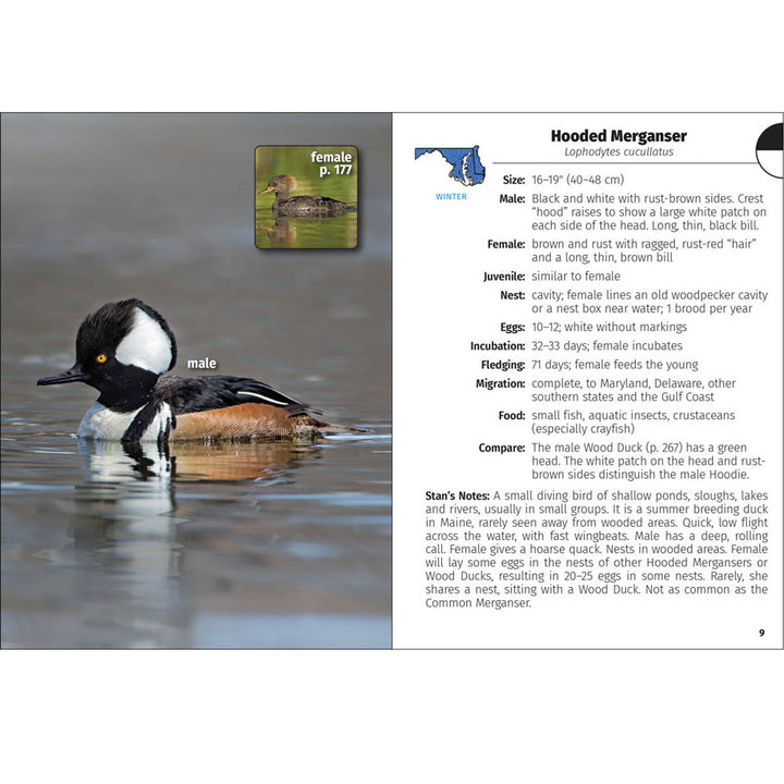 Birds of Maryland &amp; Delaware Field Guide Book (inside)