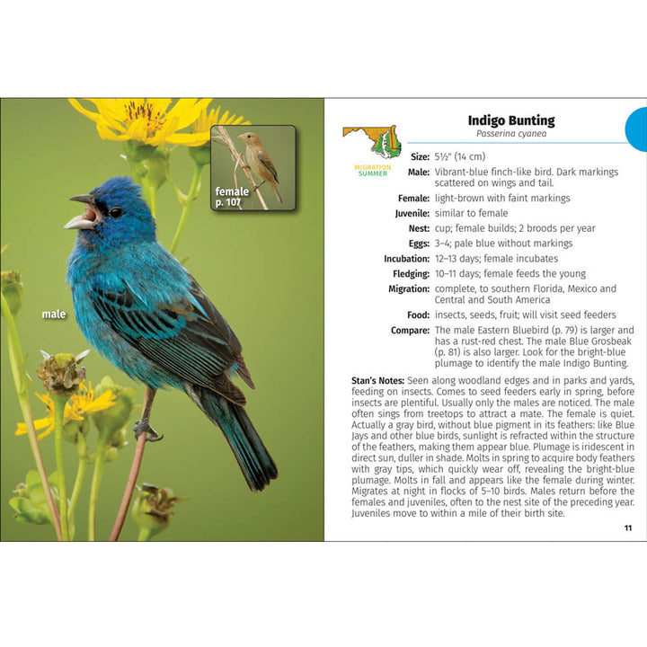Birds of Maryland &amp; Delaware Field Guide Book (inside)