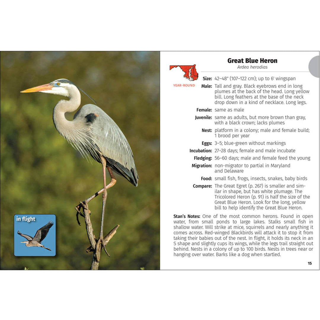 Birds of Maryland &amp; Delaware Field Guide Book (inside)
