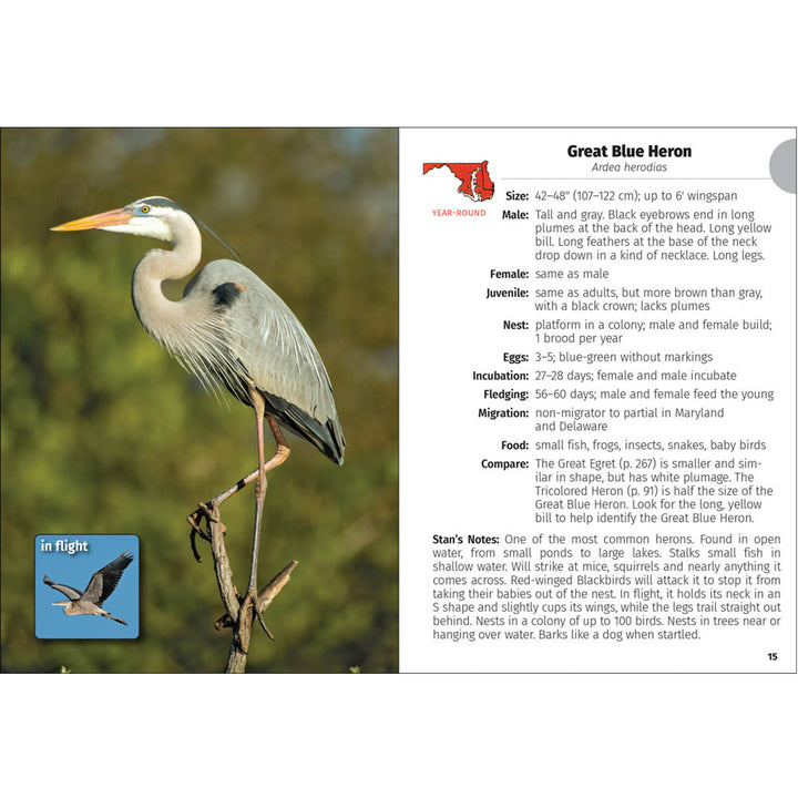 Birds of Maryland &amp; Delaware Field Guide Book (inside)