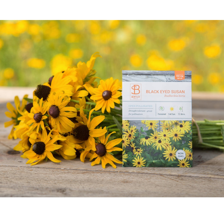 Black Eyed Susan Seeds Packet with real flowers.