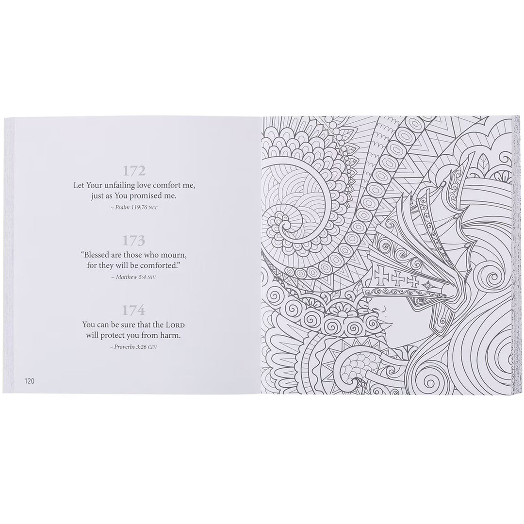 Christian Compact size coloring book. 365 Promises From God&