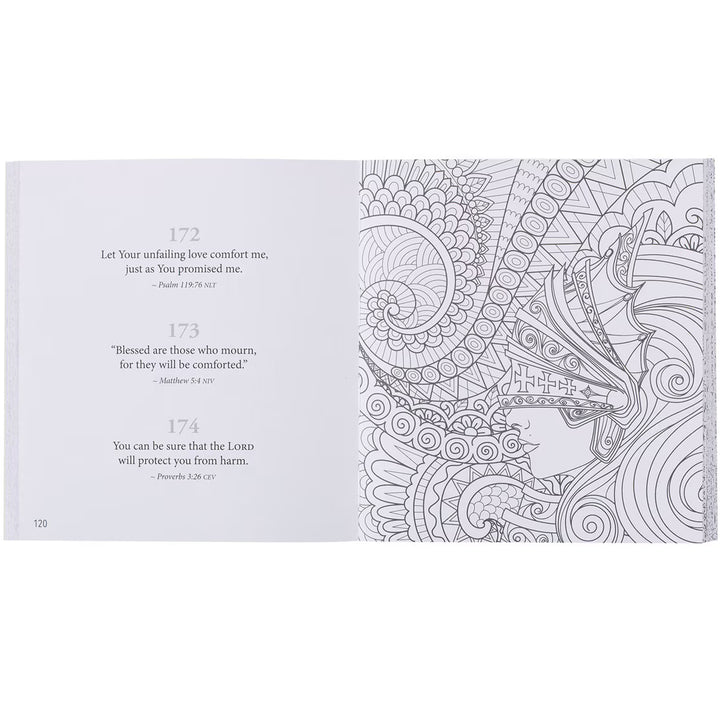 Christian Compact size coloring book. 365 Promises From God&
