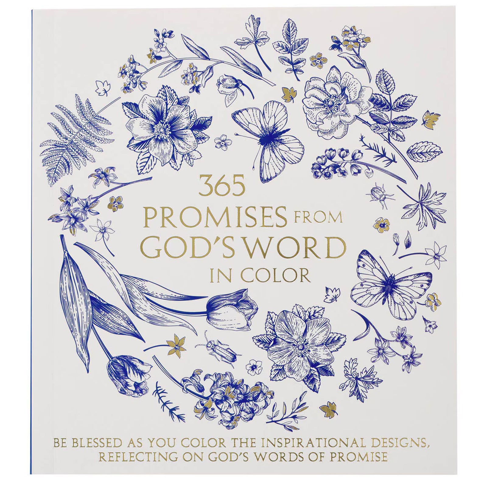Christian Compact size coloring book. 365 Promises From God's Word.