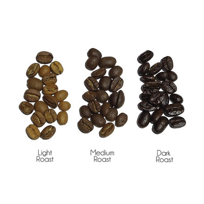 Three piles of coffee beans labeled 'Light Roast', 'Medium Roast', and 'Dark Roast' on a white background.