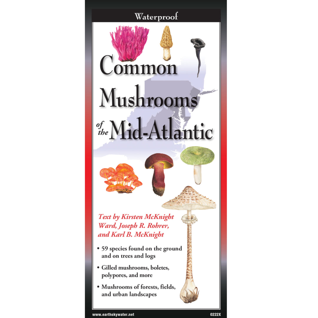 Common Mushrooms of the Mid-Atlantic Folding Guide – The Maryland