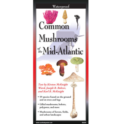 Common Mushrooms of the Mid-Atlantic Folding Guide