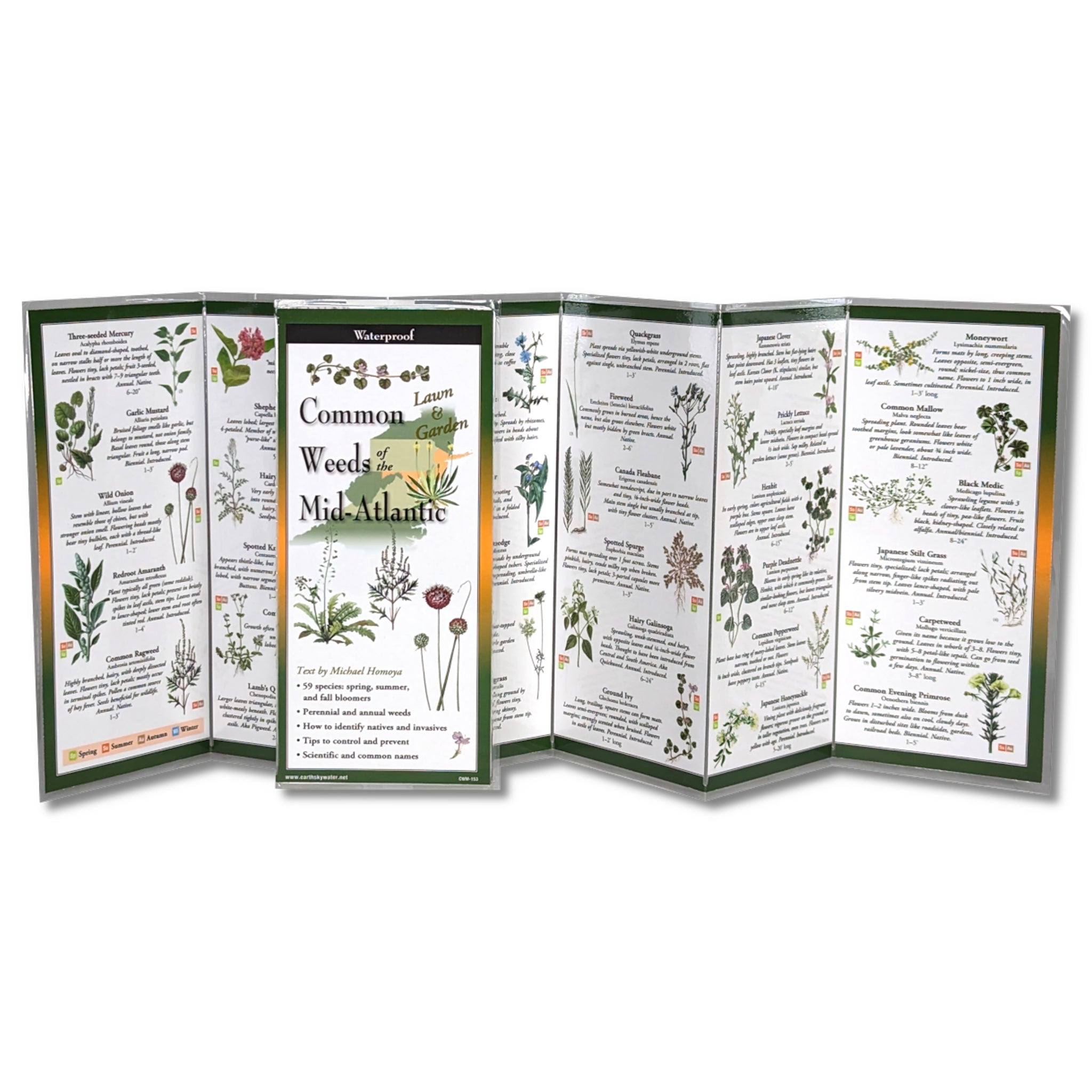 Common Weeds Mid-Atlantic Folding Guide | The Maryland Store