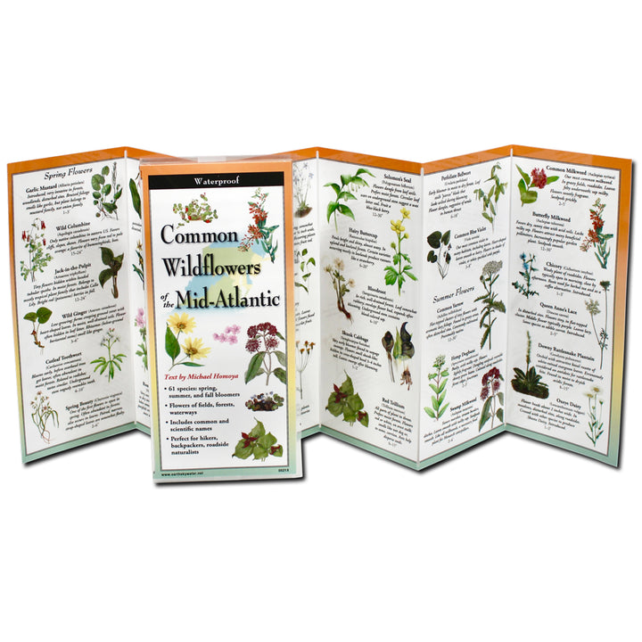 FLOWERS 関連書籍まとめ売り Common Wildflowers of the Mid-Atlantic Folding Guide – The