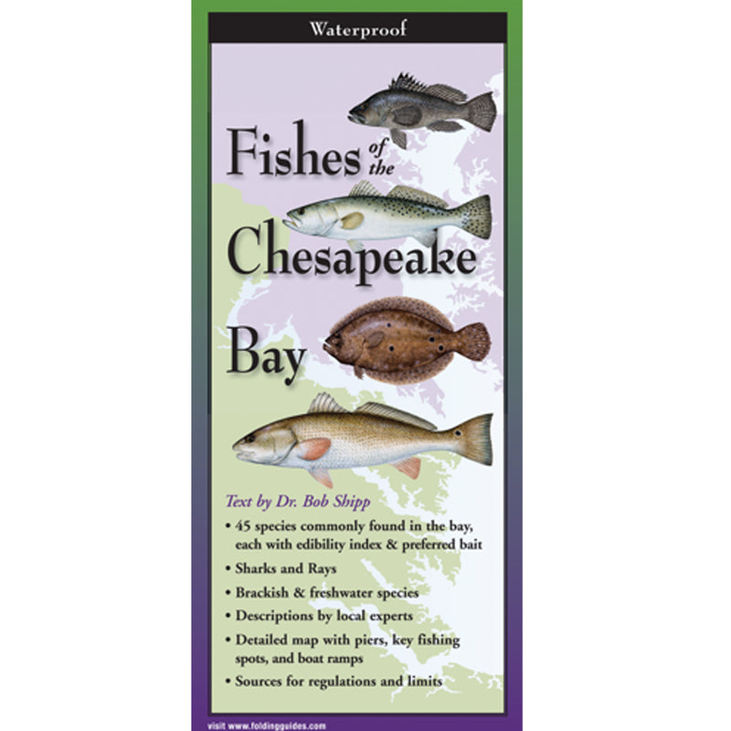 Fishes of the Chesapeake Bay Folding Guide