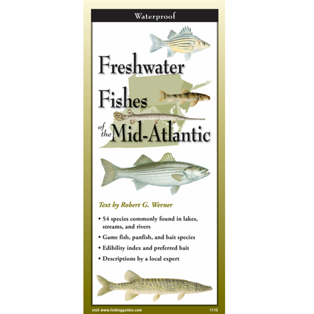 Freshwater Fishes of the Mid-Atlantic Folding Guide