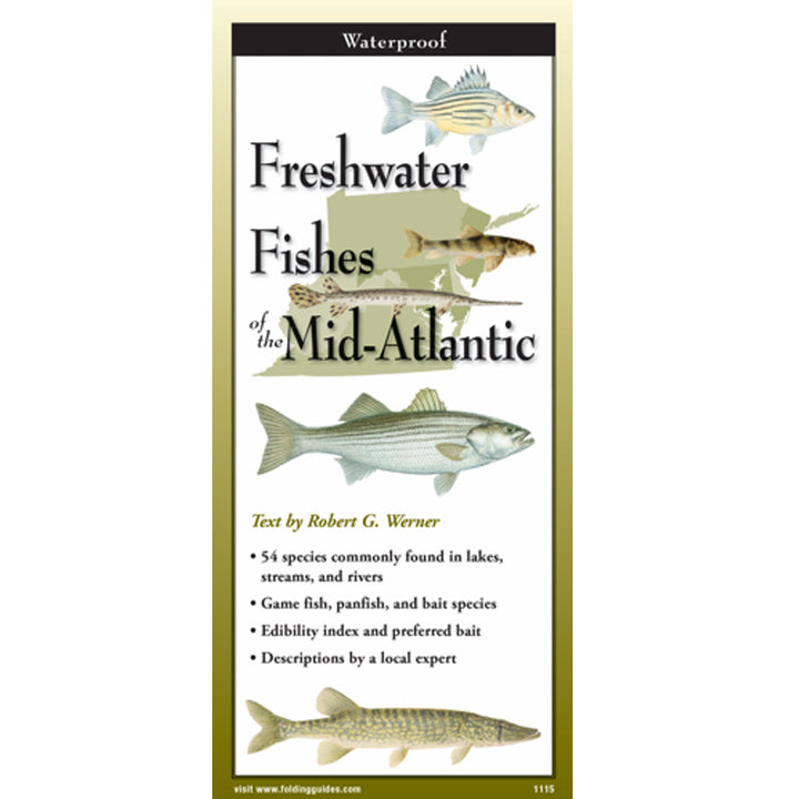 Freshwater Fishes of the Mid-Atlantic Folding Guide