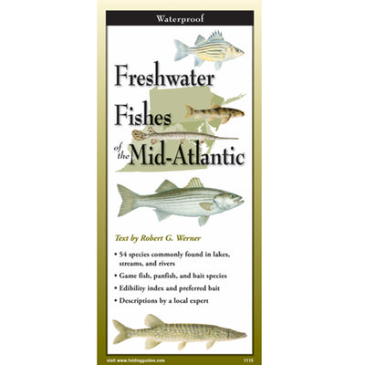 Freshwater Fishes of the Mid-Atlantic Folding Guide