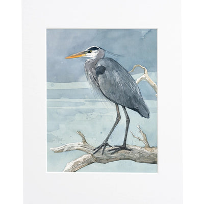 Great Blue Heron Watercolor Art Print - Matted