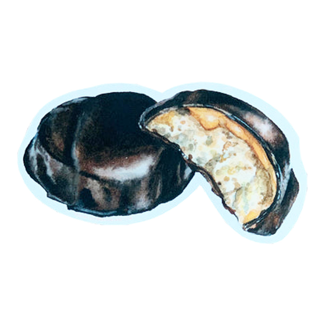 Kandy Kake Cake Die Cut Vinyl Sticker