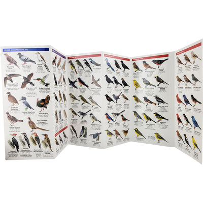 Maryland & DC Birds Pocket Naturalist Guide