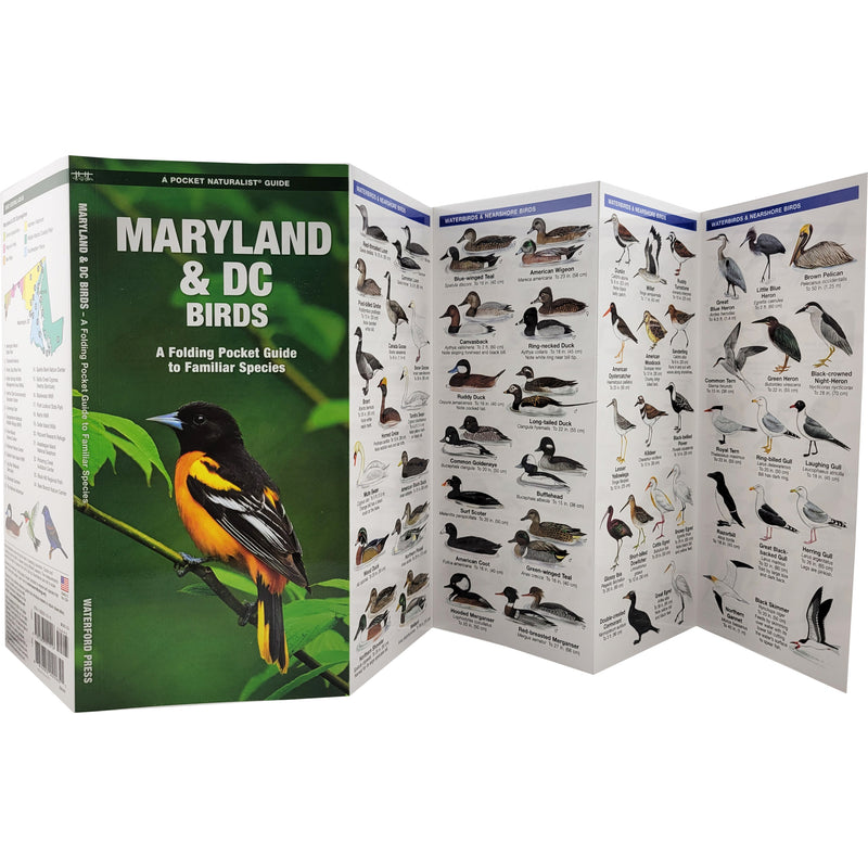 Maryland & DC Birds Pocket Naturalist Guide