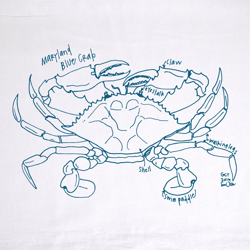 Blue line drawing of a Maryland Blue Crab on a white background kitchen towel