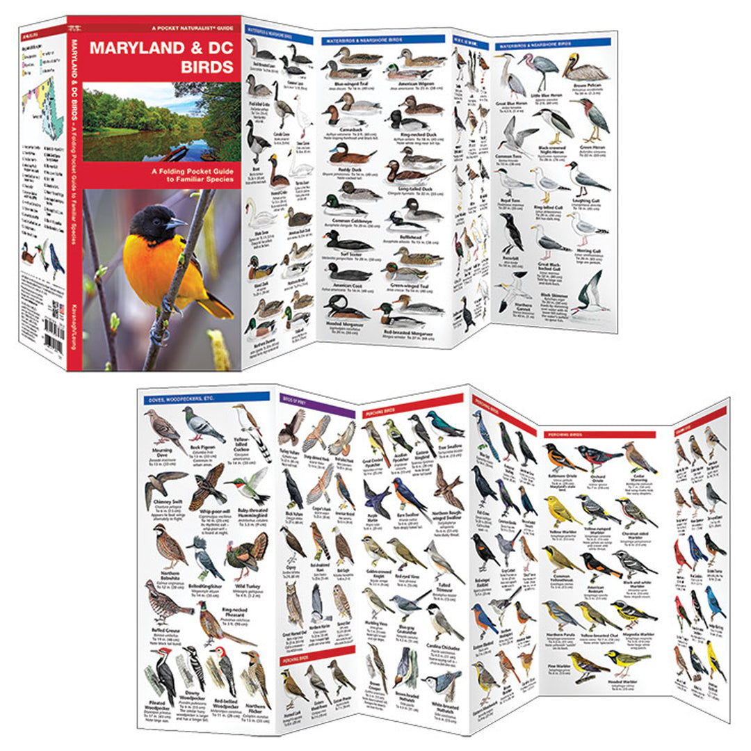Maryland & DC Birds Pocket Naturalist Guide – The Maryland Store