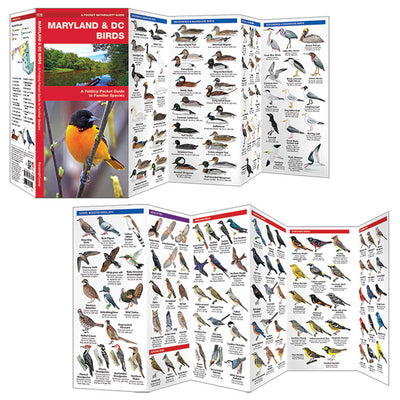 Maryland & DC Birds Pocket Naturalist Guide Inside