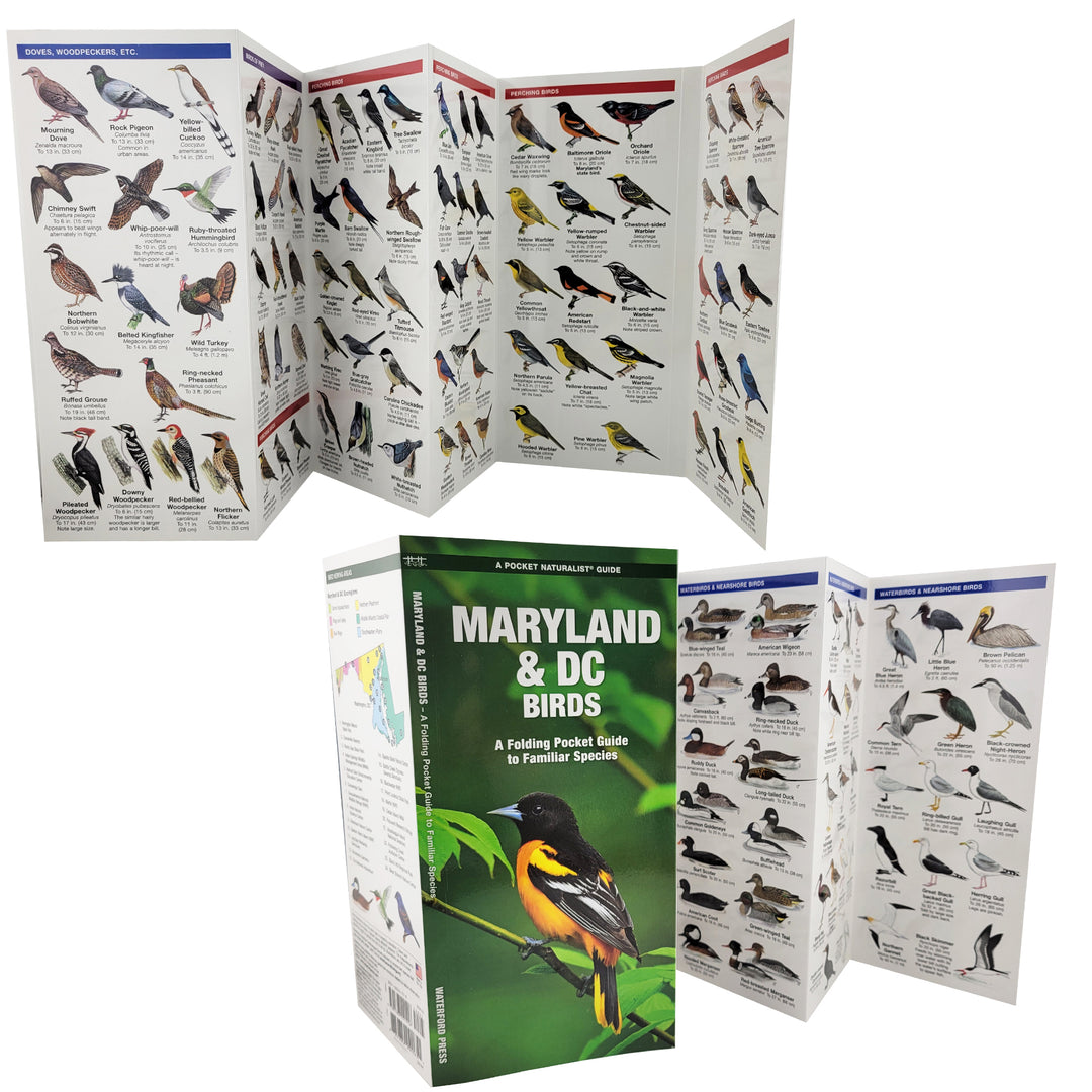Maryland &amp; DC Birds Pocket Naturalist Guide